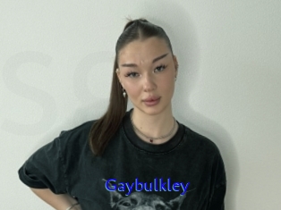 Gaybulkley