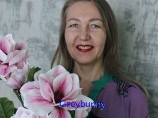 Greybunny