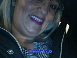 Grosseins88