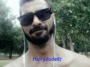 Hairydude87