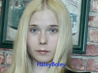 HaleyBoley