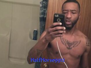 HalfHorse9912