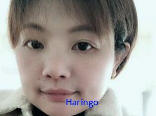Haringo