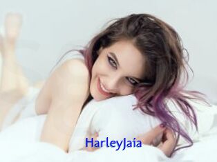 HarleyJaia