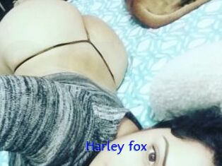 Harley_fox