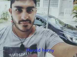 Harold_horny