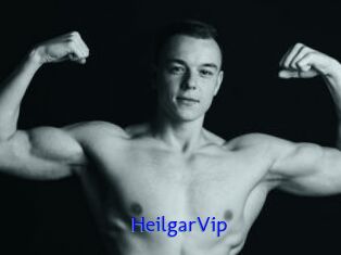 HeilgarVip