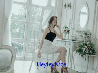 HeyleyNice