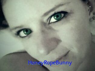 HoneyRopeBunny