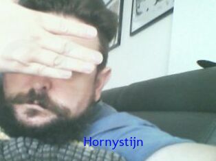 Hornystijn