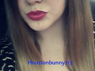 Houstonbunny713
