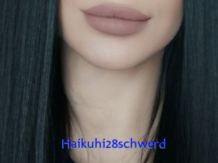 Haikuhi28schwerd