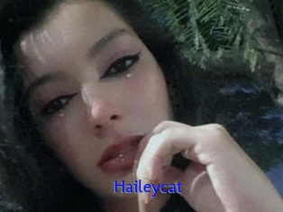 Haileycat