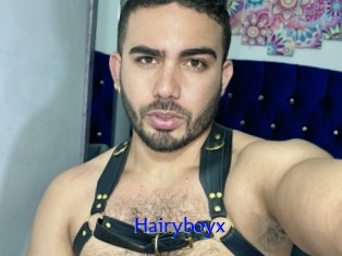 Hairyboyx