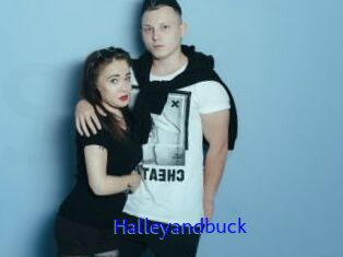 Halleyandbuck