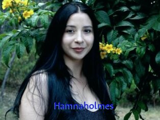 Hamnaholmes