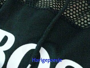 Harigepoesje