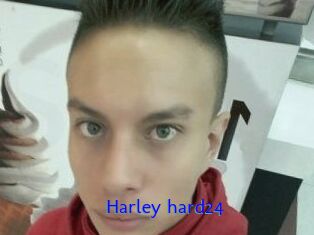 Harley_hard24