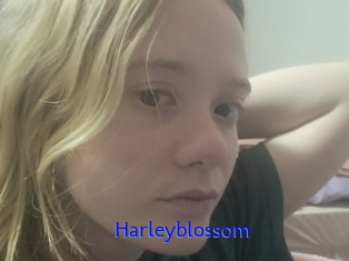 Harleyblossom