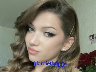 Harrietbagge