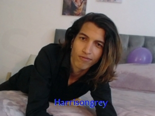 Harrisongrey