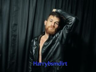 harrybsmdirt Sexo Gratis