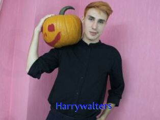 Harrywalters