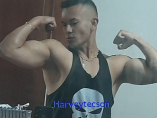 Harveytecson