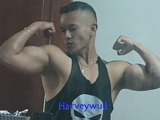 Harveywull