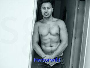 Hectorwild