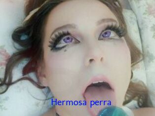 Hermosa_perra