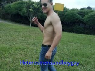 Heterosmensandboygay