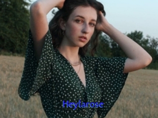 Heylarose