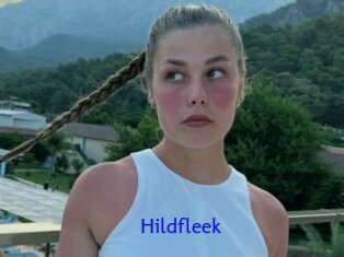 Hildfleek