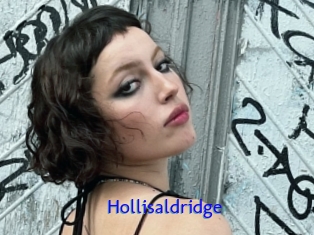 Hollisaldridge