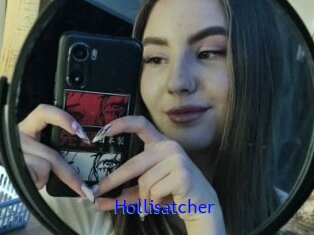 Hollisatcher
