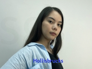 Hollisbrucks