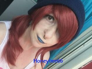 Honeybee66