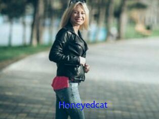Honeyedcat