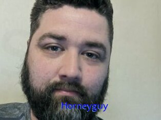 Horneyguy