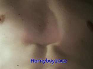 Hornyboy2002