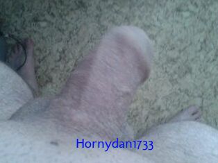 Hornydan1733