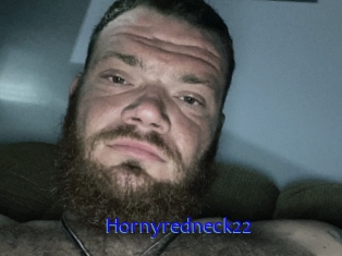 Hornyredneck22