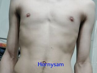 Hornysam