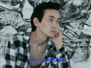 HornytimGabe