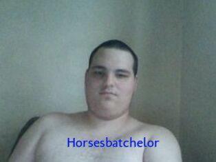 Horsesbatchelor