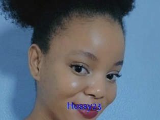 Hussy23