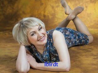 Ibirdt