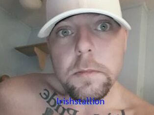 Irishstallion