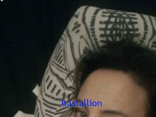 Itastallion